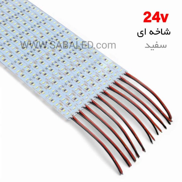لامپ LED شاخه‌ای سفید ۲۴ ولت با قابلیت استفاده در پروژه‌های نورپردازی داخلی و خارجی