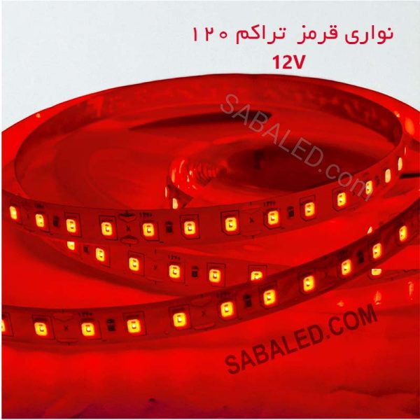 خرید ریسه چراغ 12 ولت دارای تراکم 120 قرمز