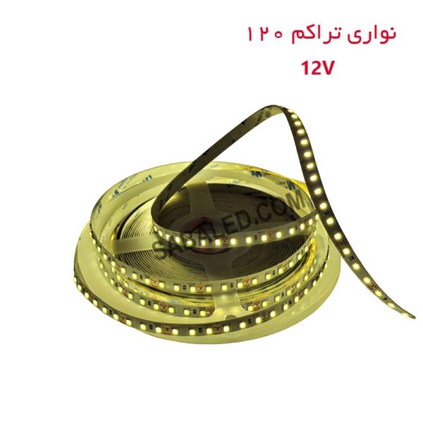 خرید ریسه نواری نچرال 12 ولت تراکم 120